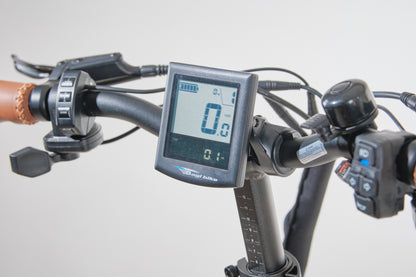 Bagi Bike B10 Bold Plus