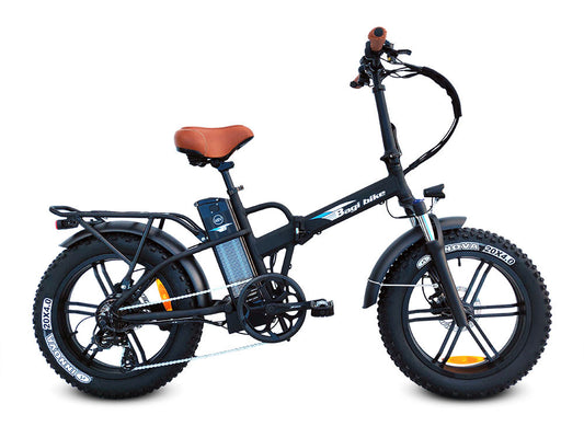 Bagi Bike B20 Fat Tire Folding Electric Bike