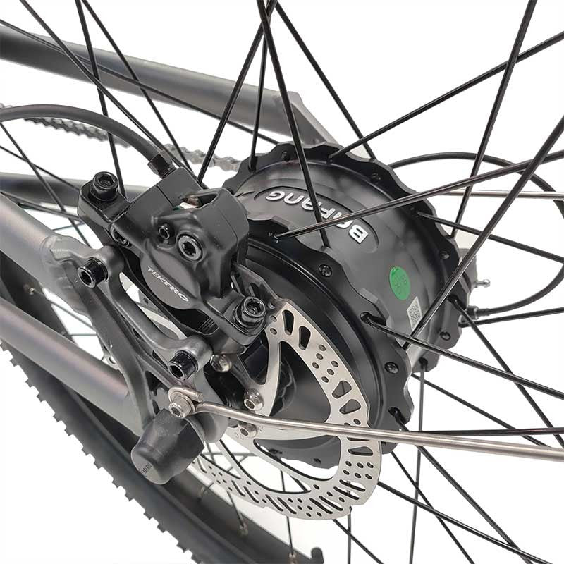 Bafang 500 watt Electric Motor
