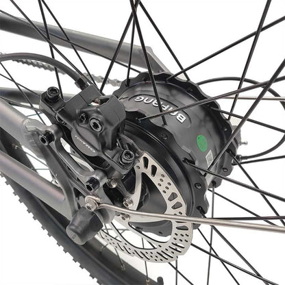 Bafang 500 watt Electric Motor