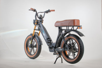 Bagi Bike B24 Tiger -  UL standard certificate