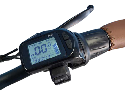 Throttle and Display for B16