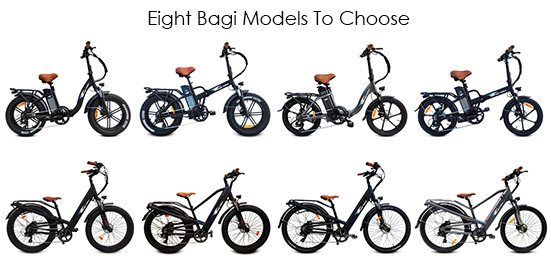 Eight bagi bike e-bike models to choose from